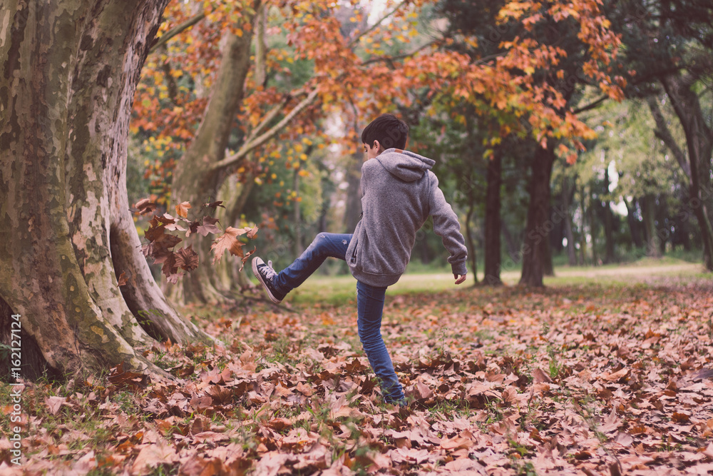 Boy playing with leaf in autumn Boy playing with leaf in autumn