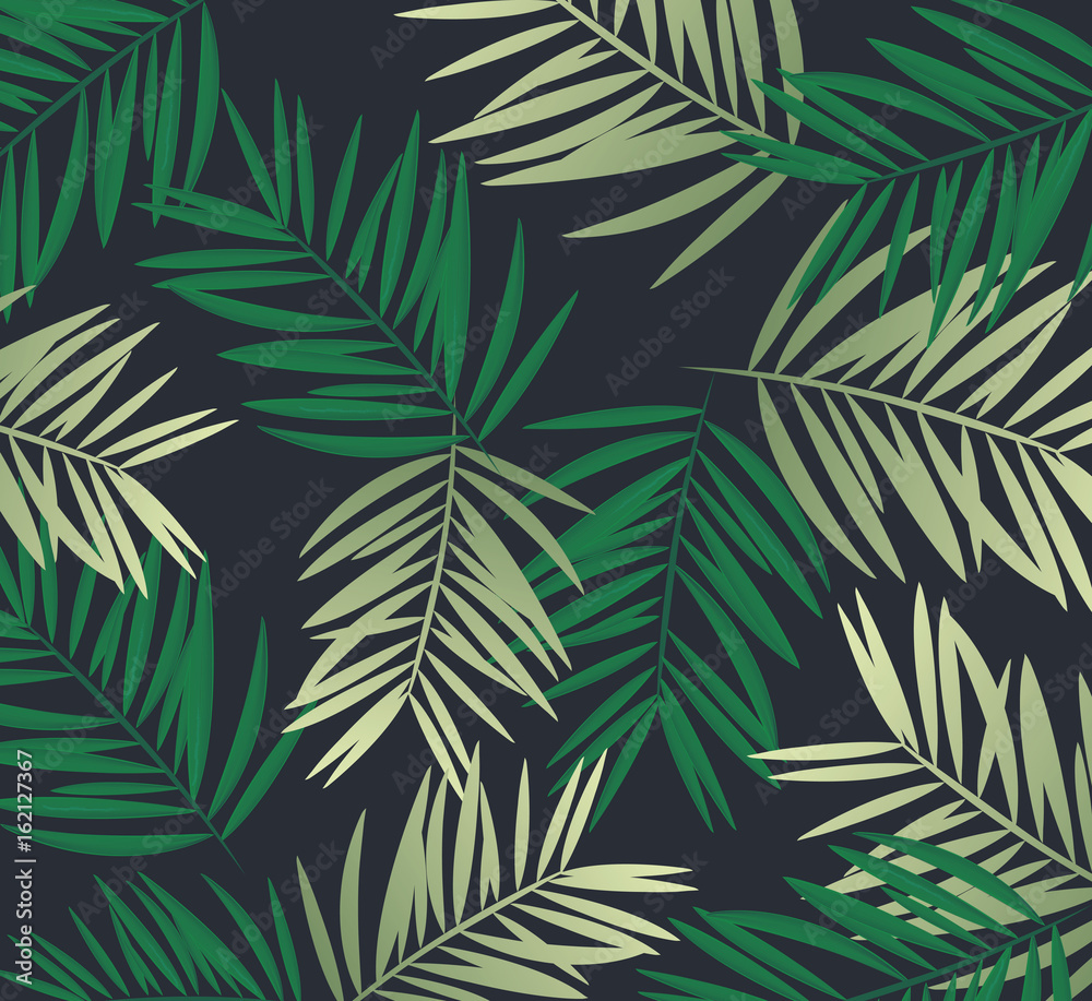 Background palm coconut bamboo tree leaf nature background, banner voucher, spring summer tropical, vector illustration