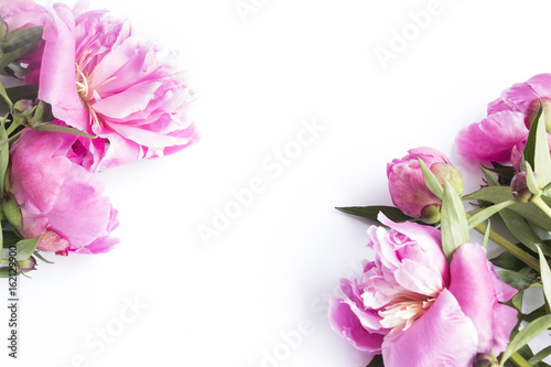 Wallpaper Mural Pink Peonies Torontodigital.ca