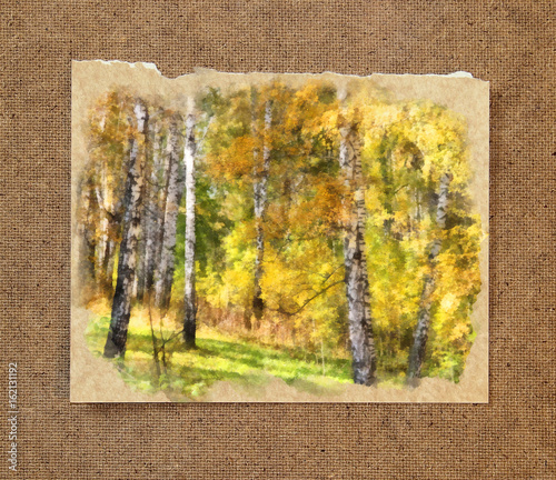 White birch trunks in a golden dress. Russian autumn watercolor landscape on paper with a torn edge in the passepartout photo