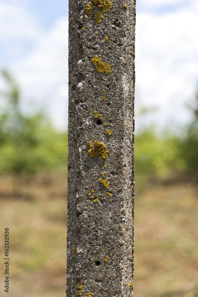 Fototapeta premium concrete pillar with moss