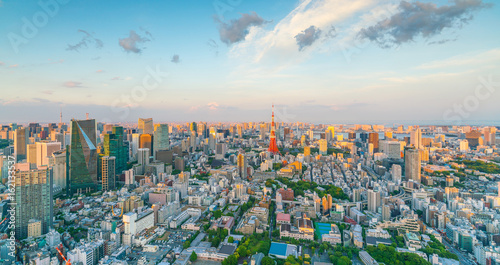 Canvas Print Tokyo skyline  with Tokyo Tower in Japan