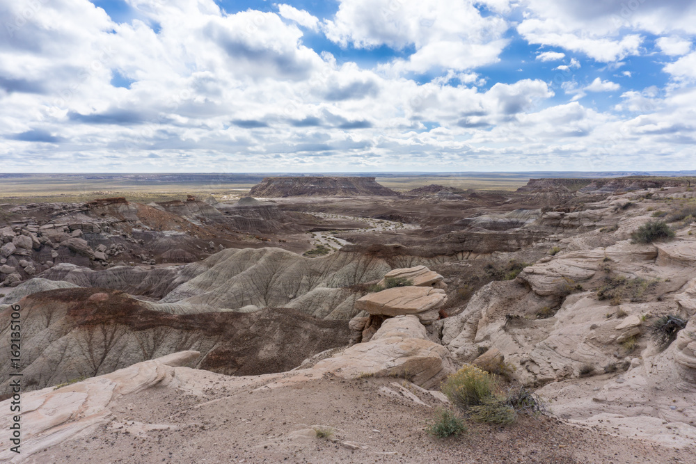 An overlook of the Blue Mesa member of the Chinle Formation in the Petrified Forest National Park, AZ An overlook of the Blue Mesa member of the Chinle Formation in the Petrified Forest National Park, AZ