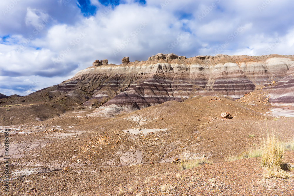The Blue Mesa member in the Chinle Formation as seen in the Petrified Forest National Park, AZ.