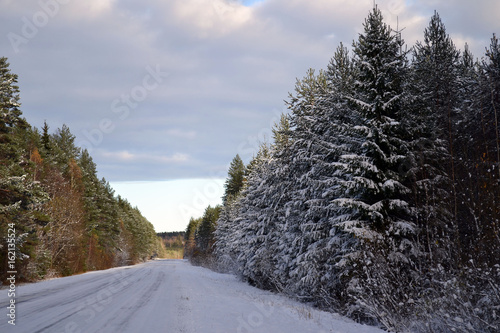 Winter forest road
