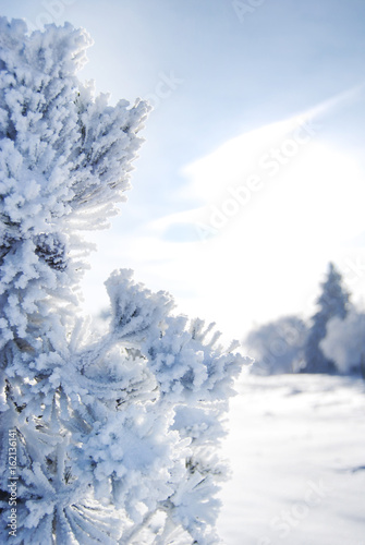 Schneelandschaft, Winter im Sauerland