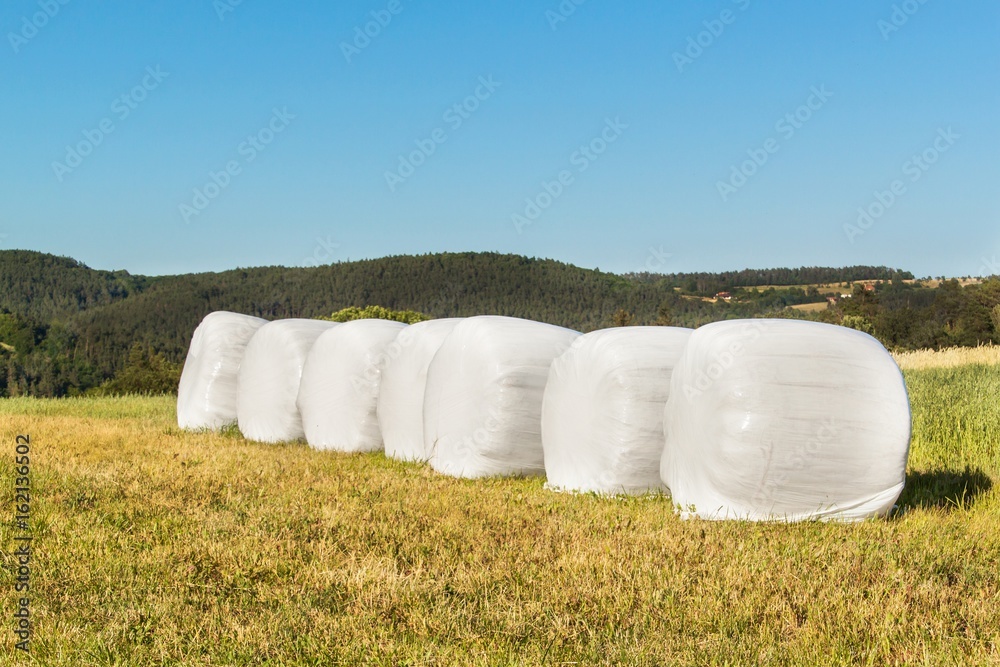 Obraz premium Rural scene with hay bales wrapped in plastic film. Hay bales in plastic. Summer work on an agricultural farm.