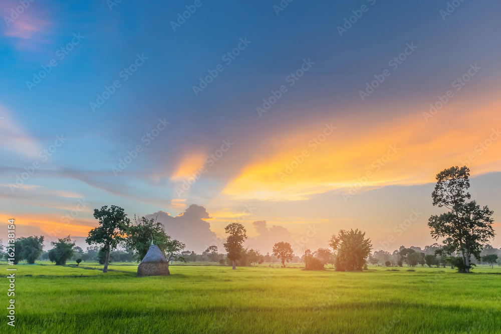 Silhouette sunset with paddy rice field, the farmer practice how to store straw, animal feed, the beautiful sky cloud.By the beam, light and lens flare effect tone Silhouette sunset with paddy rice field, the farmer practice how to store straw, animal feed, the beautiful sky cloud.By the beam, light and lens flare effect tone