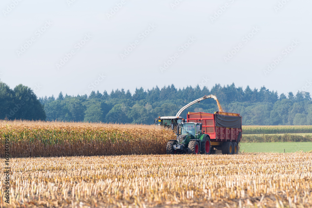 Fototapeta premium harvesting corn in the netherlands