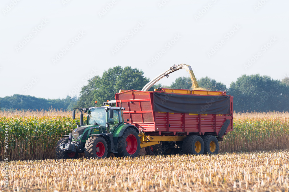 Fototapeta premium harvesting corn in the netherlands
