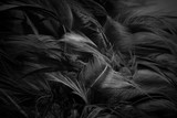 blur feather wool dark black with light abstract background