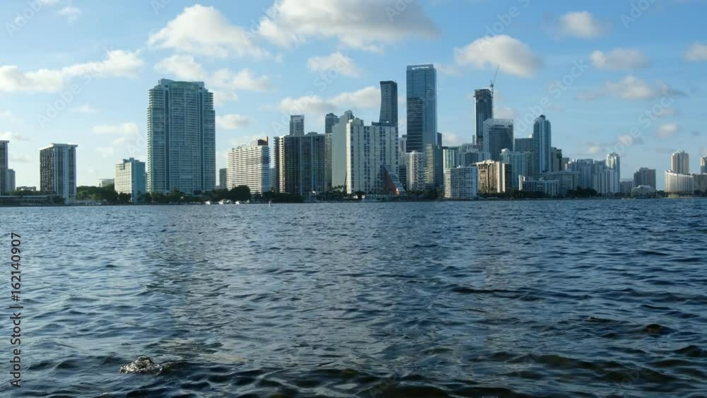 Downtown Miami Skyline in Color Downtown Miami Skyline in Color