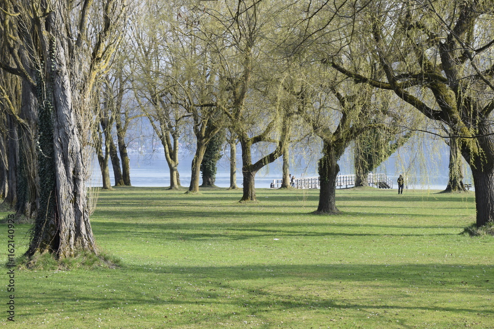Frühling am Bodensee