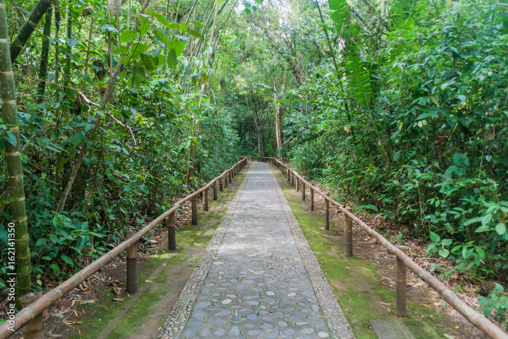 Obraz premium Ścieżka dla zwiedzających park archeologiczny w San Agustin, Kolumbia