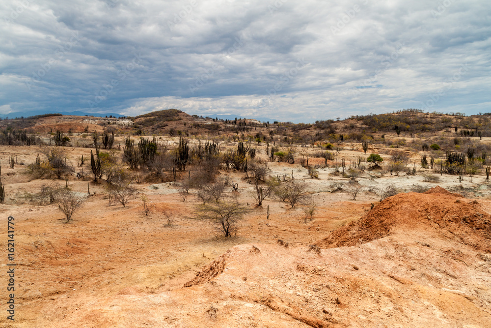 Landscape of Tatacoa desert, Colombia