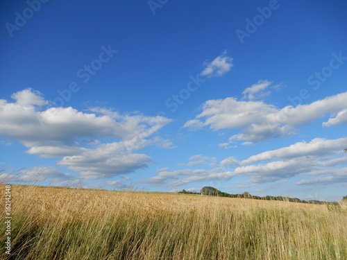 Blauer Himmel überm Land