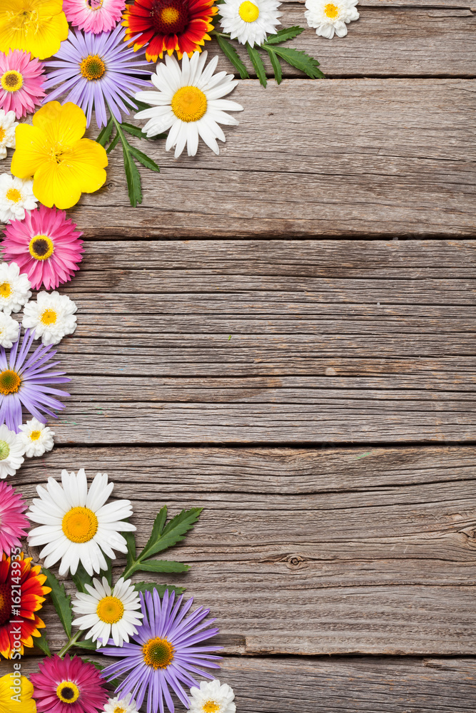 Obraz premium Garden flowers on wood