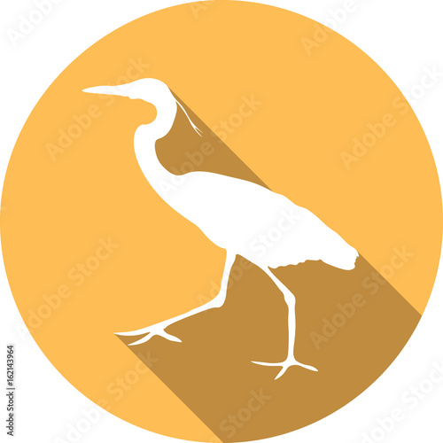 vector Great white heron