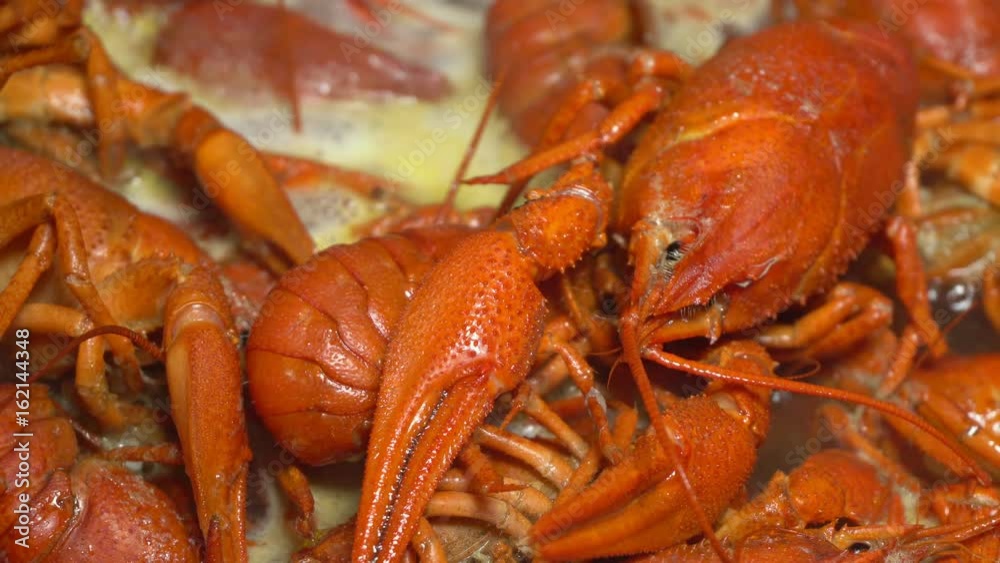 Boiled crawfish with spices. Great as a beer snacks. Boiled crawfish with spices. Great as a beer snacks.