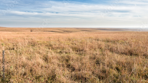 Flint Hills