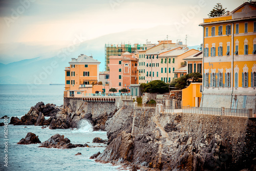 Nervi