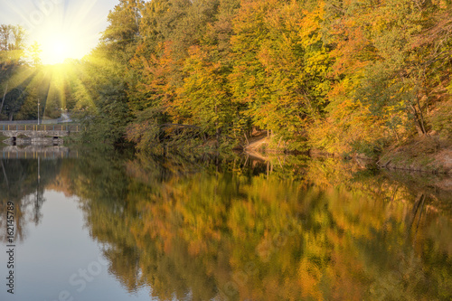 Autumn trees are reflected in the lake