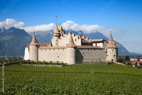 Chateau d'Aigle photo