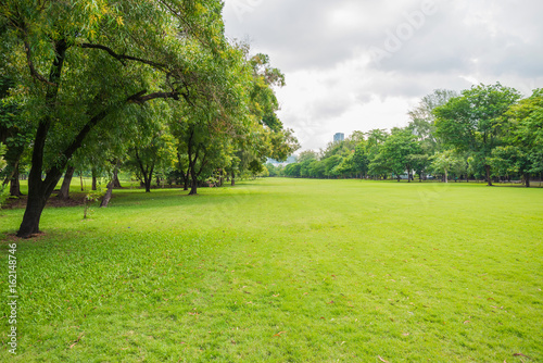 Fototapeta Naklejka Na Ścianę i Meble -  green grass field in big city park