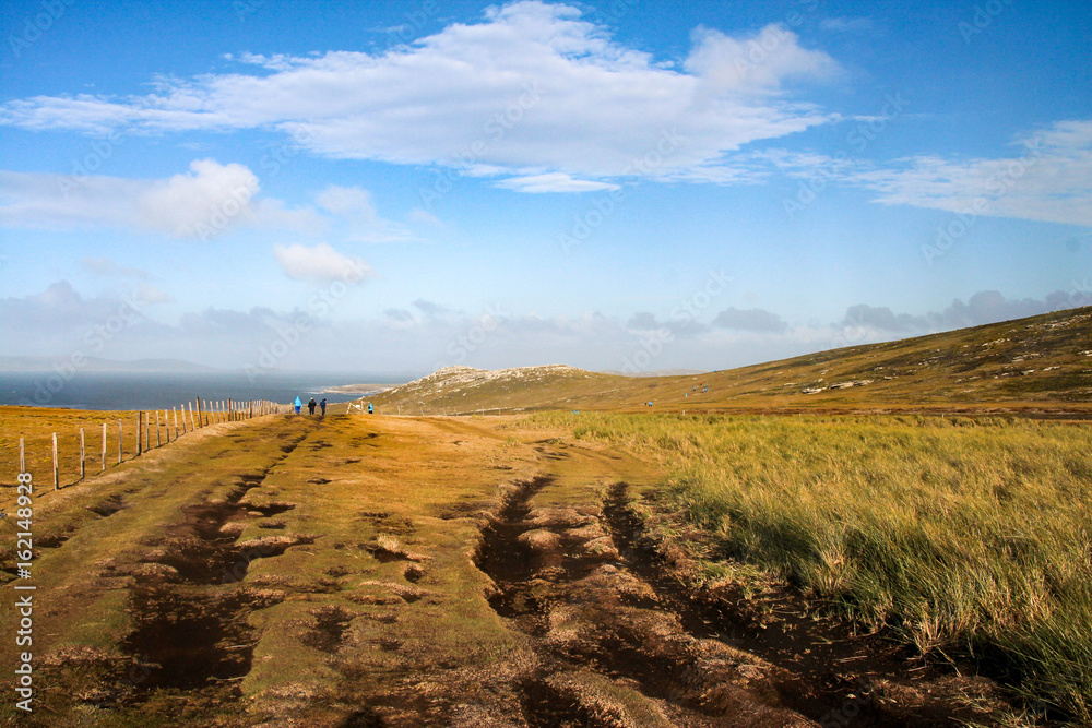 Falkland Islands, South America