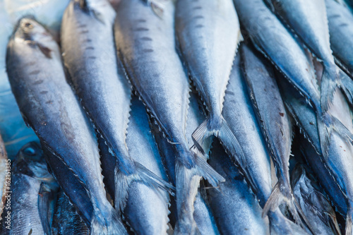 Fresh fish seafood © popofyear