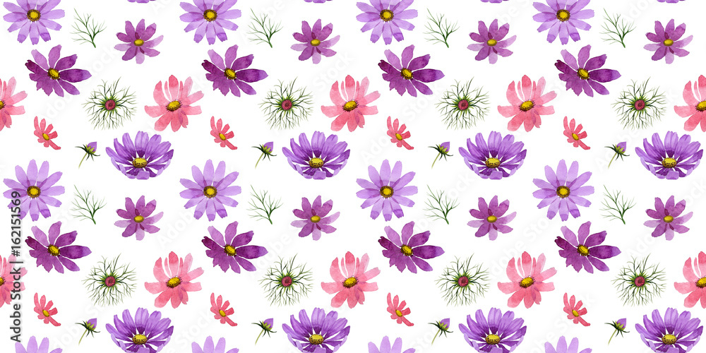 Wildflower kosmeya flower pattern in a watercolor style isolated. Wildflower kosmeya flower pattern in a watercolor style isolated.
