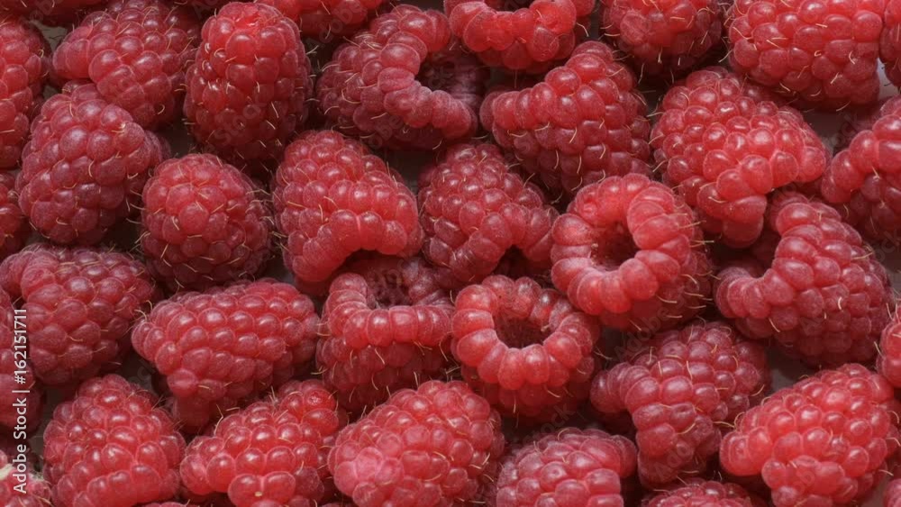 Fresh Raspberry Close-up Rotating. Seamless Looping Motion.