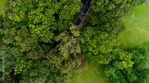 Aerial view of forest road