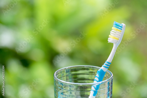 Toothbrushes in glass on blurred green background