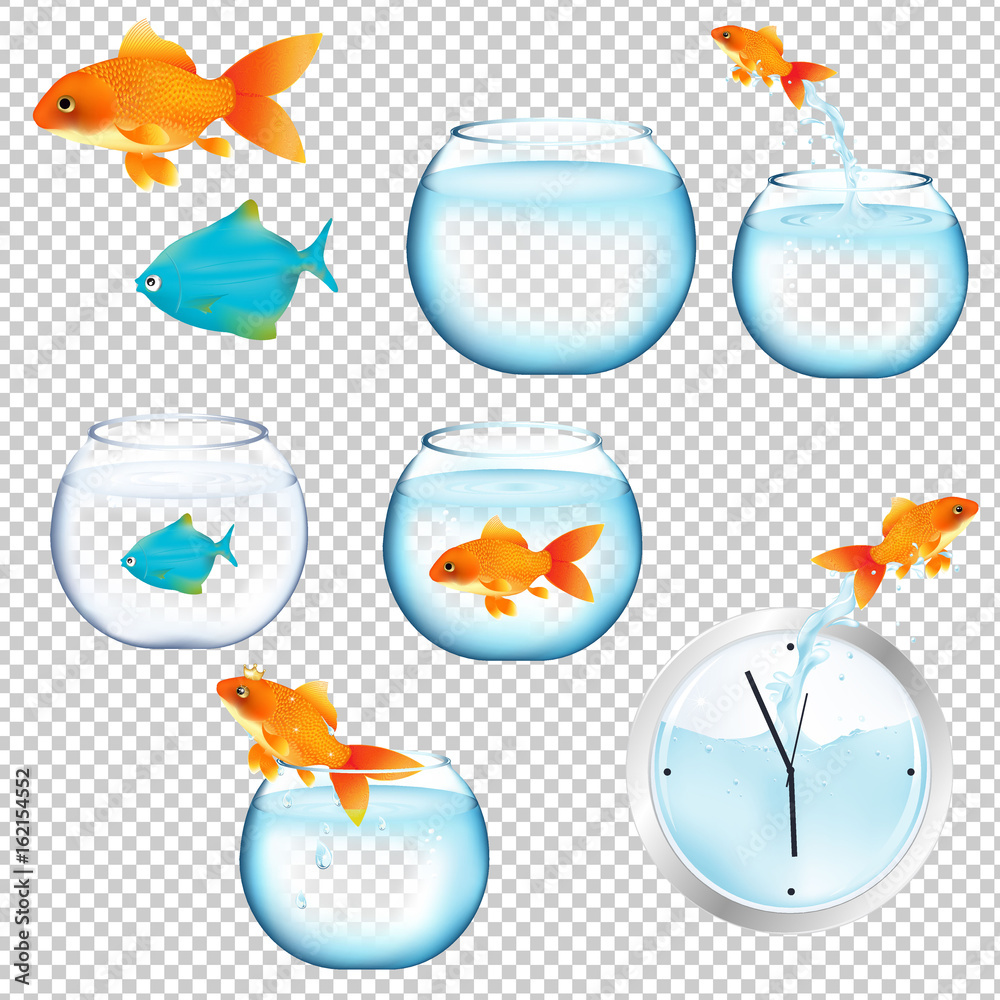 Fototapeta premium Fish And Aquariums Set
