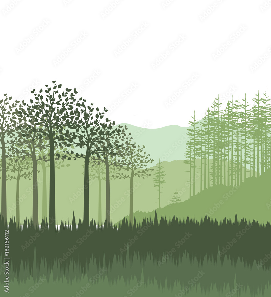 Obraz premium Landscape with forest