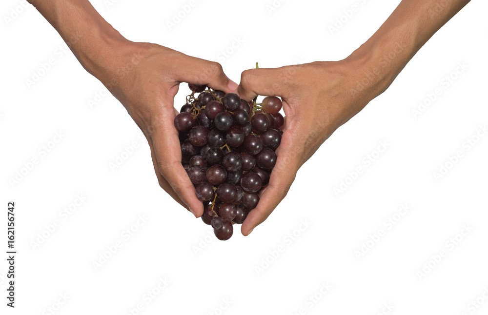 Grapes in hand on a white background. Grapes in hand on a white background.