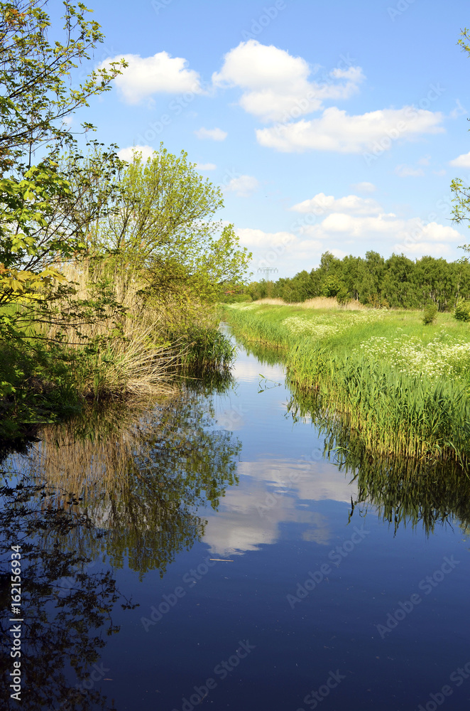 Fototapeta premium Blue sky over little creek