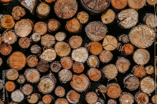 Pile of firewood photo