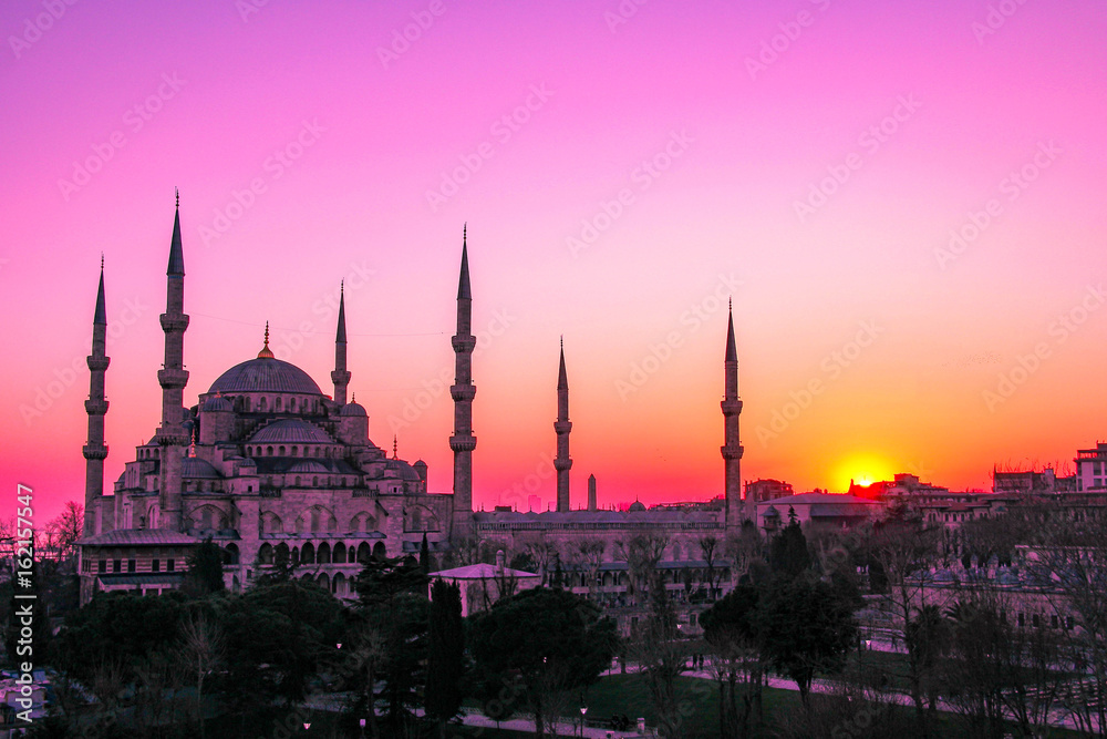 Fototapeta premium Blue Mosque in Istanbul, Turkey