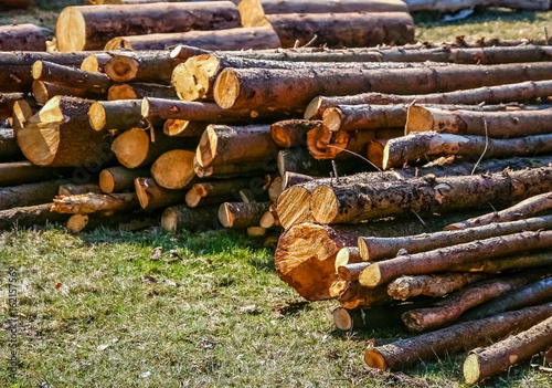 Pile of firewood photo