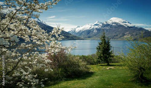 Panorama of Nordfjord in springtime, Norway