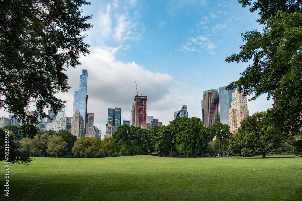 New York skyline from Central Park
