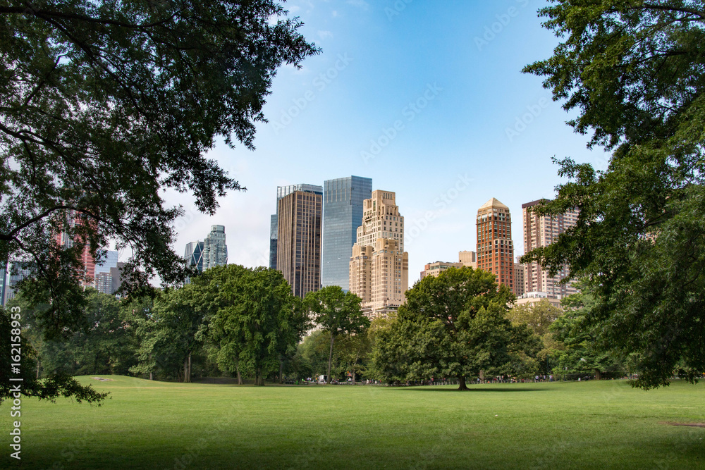 New York skyline from Central Park