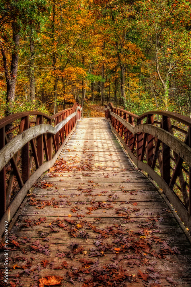 Autumn Foot Bridge - obrazy, fototapety, plakaty 