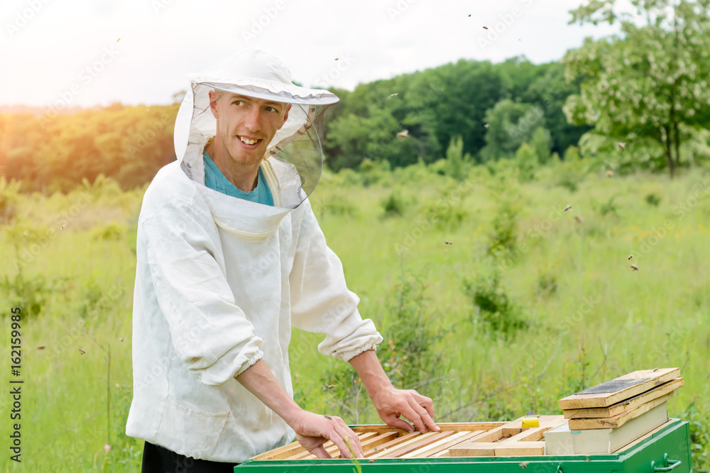 The young beekeeper works on a beehive at the hive. Apiculture. The young beekeeper works on a beehive at the hive. Apiculture.