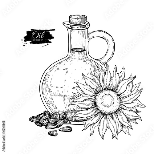Bottle of sunflower oil with flower and heap of seed. Vector Hand drawn illustration. Glass pitcher