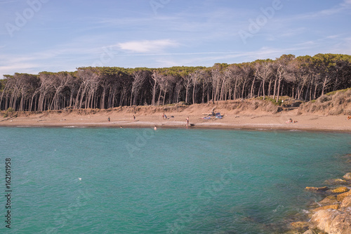 Pinienstrand von Cecina Toskana photo
