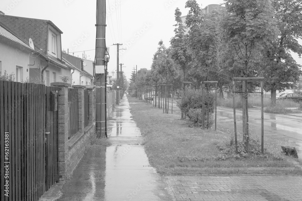 Fototapeta premium Puddle on road during rain. Slovakia