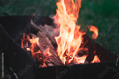 A bonfire in the nature in a forest with a blurred background.